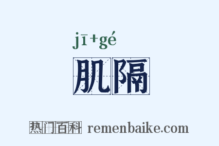 肌隔是什么意思的图片